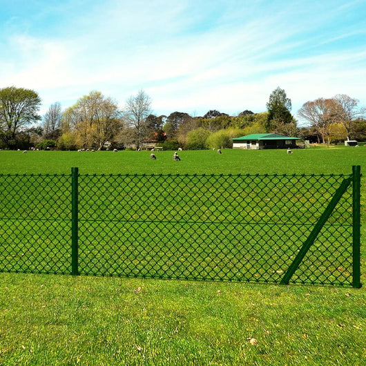 Recinzione a Rete con Pali e Spuntoni in Acciaio 1,0x25 m 140754