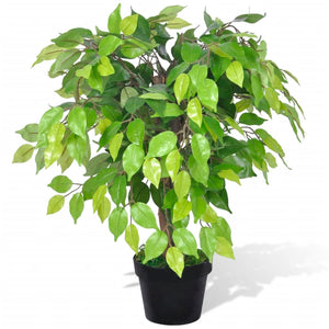 Ficus Nano Artificiale con Vaso 60 cm 241358