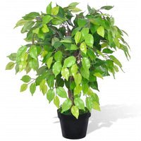 Ficus Nano Artificiale con Vaso 60 cmcod mxl 105424