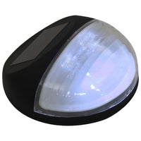 Lampade Solari da Parete da Esterno a LED 24 pz Rotonde Nere 277139