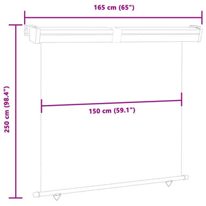 Tendalino Laterale per Balcone 165x250 cm Nero 48430