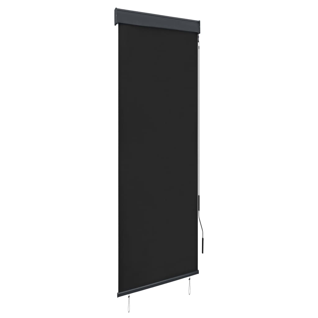 Tenda a Rullo per Esterni 60x250 cm Antracite 145946