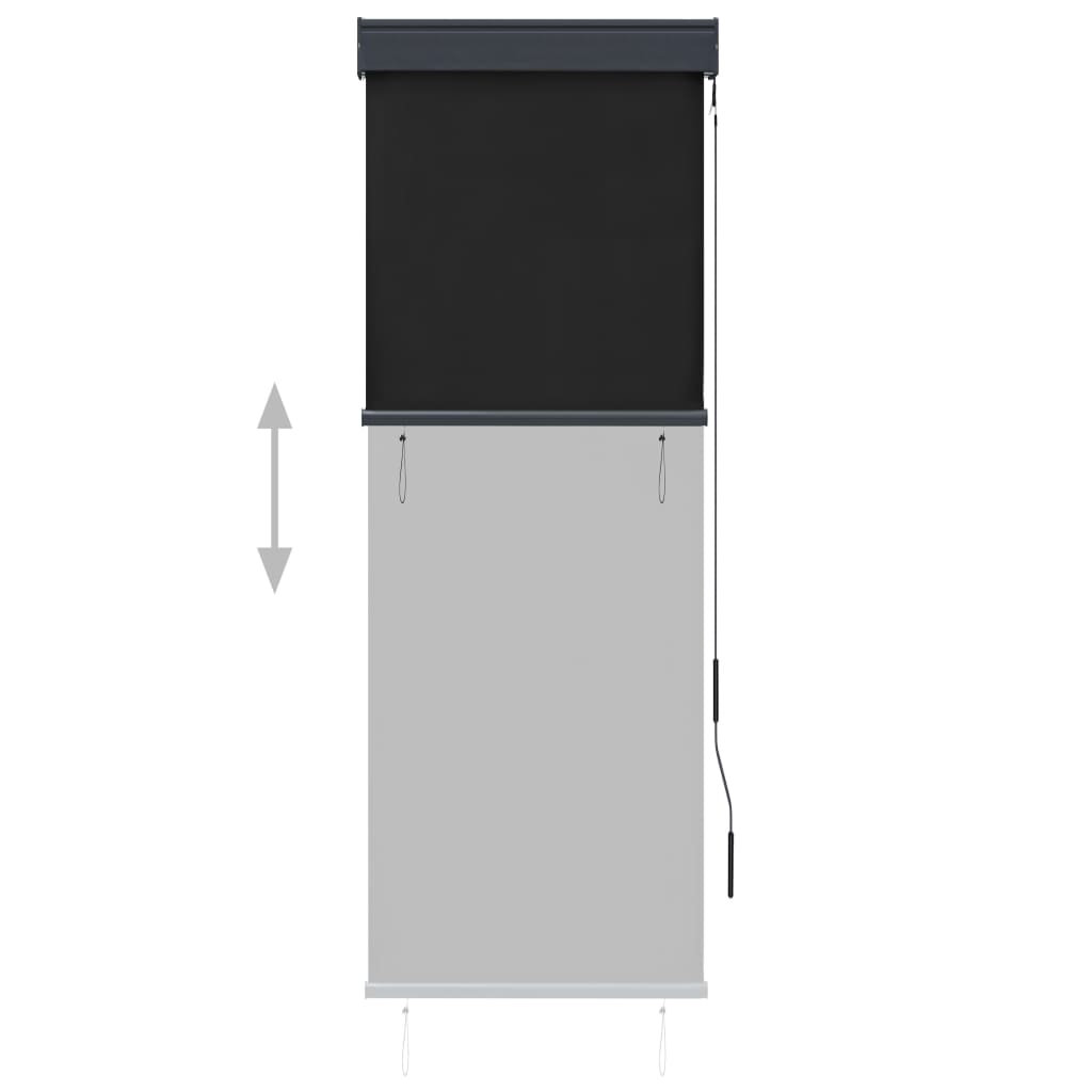 Tenda a Rullo per Esterni 60x250 cm Antracite 145946