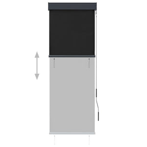 Tenda a Rullo per Esterni 60x250 cm Antracite 145946