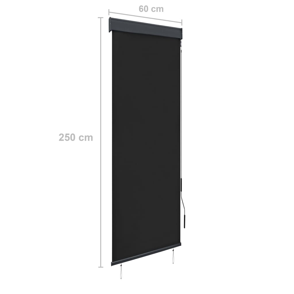 Tenda a Rullo per Esterni 60x250 cm Antracite 145946