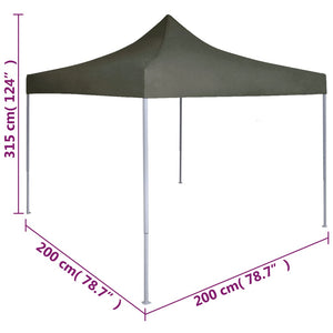 Gazebo Professionale Pieghevole 2x2m in Acciaio Antracite cod mxl 66291