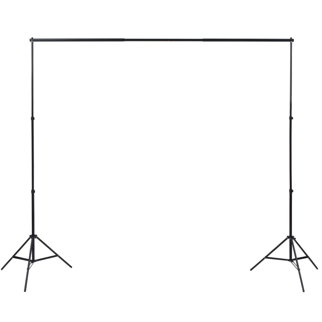 Kit per Studio Fotografico con Luce Softbox e Fondali 3051363