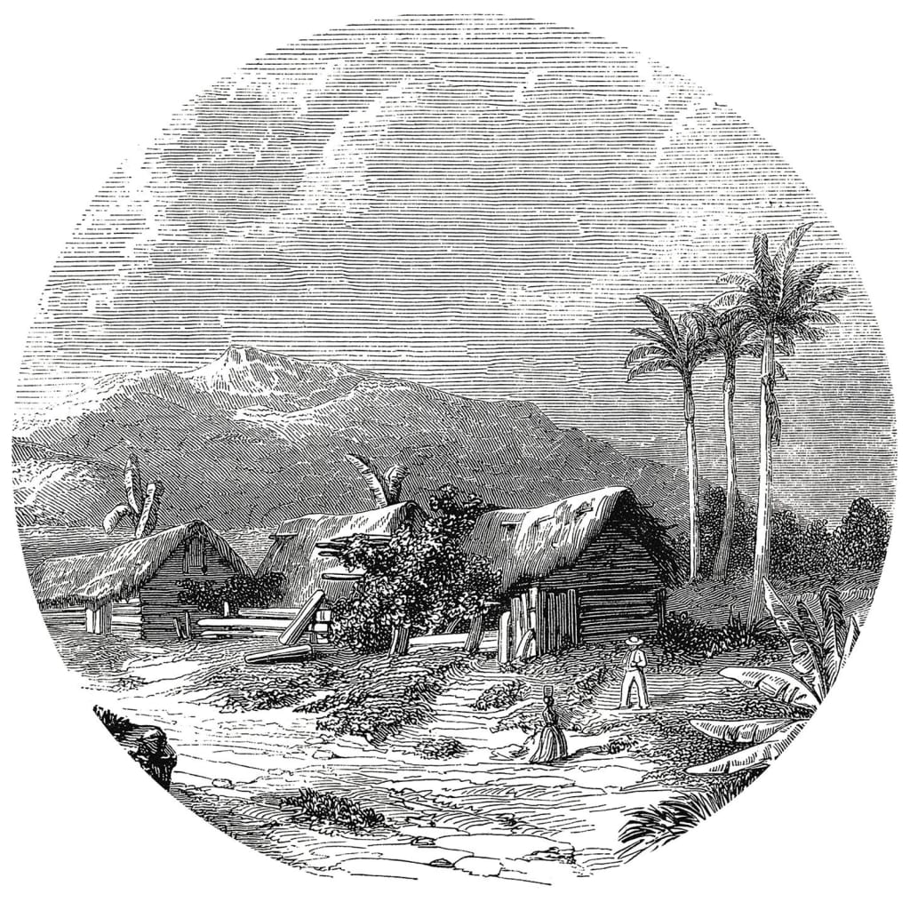 WallArt Carta da Parati Circolare Landscape of Guadeloupe 190 cm cod mxl 59128