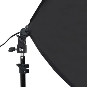 Kit per Studio Fotografico con Luci Softbox e Fondali 3055054