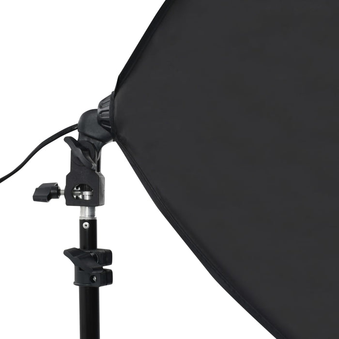 Kit per Studio Fotografico con Luci Softbox e Fondali 3055055