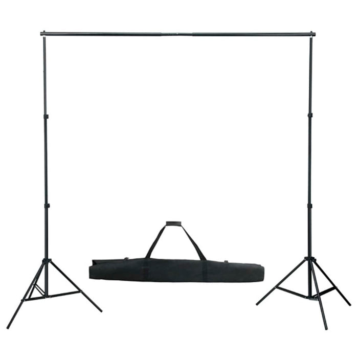 Kit per Studio Fotografico con Luci Softbox e Fondali 3055055