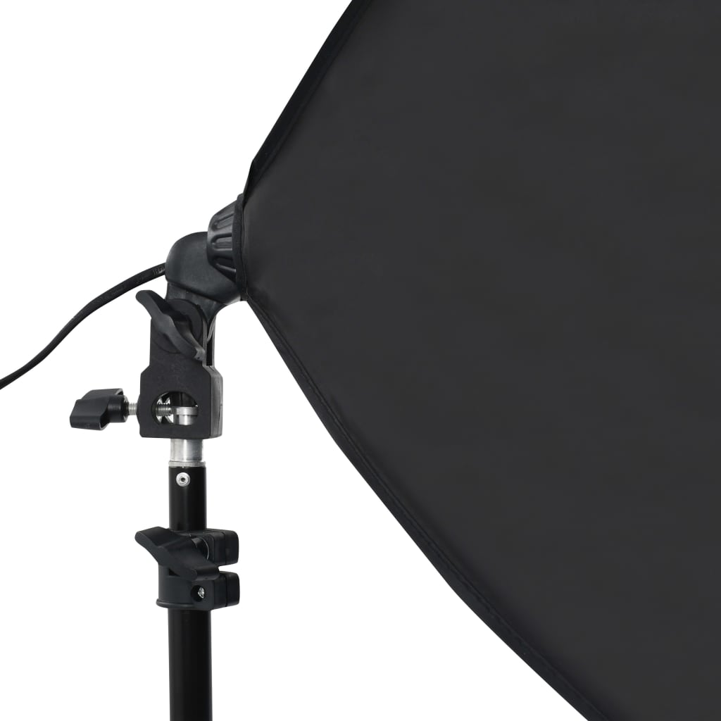 Kit per Studio Fotografico con Luci Softbox e Fondale 3055056