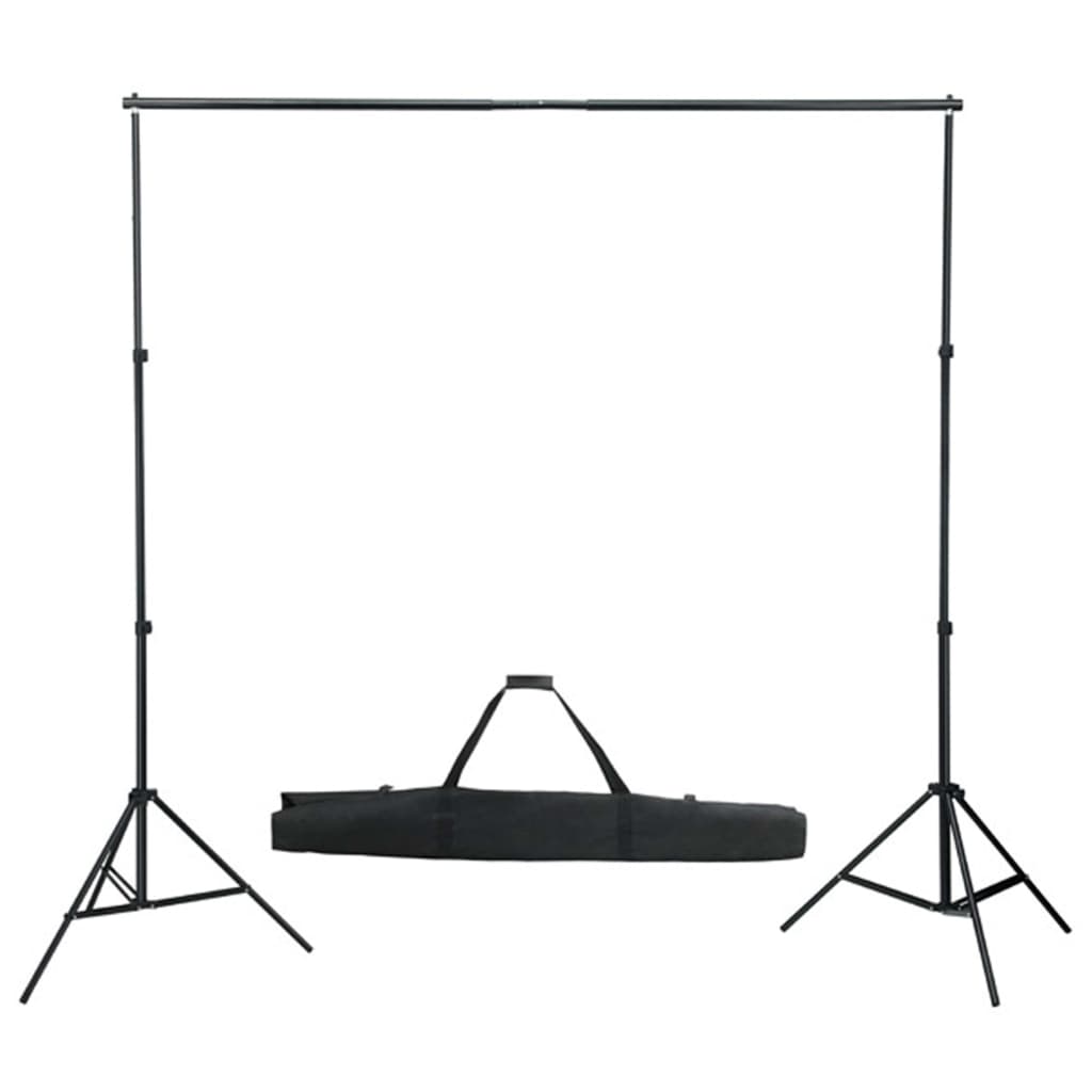 Kit per Studio Fotografico con Luci Softbox e Fondale 3055056