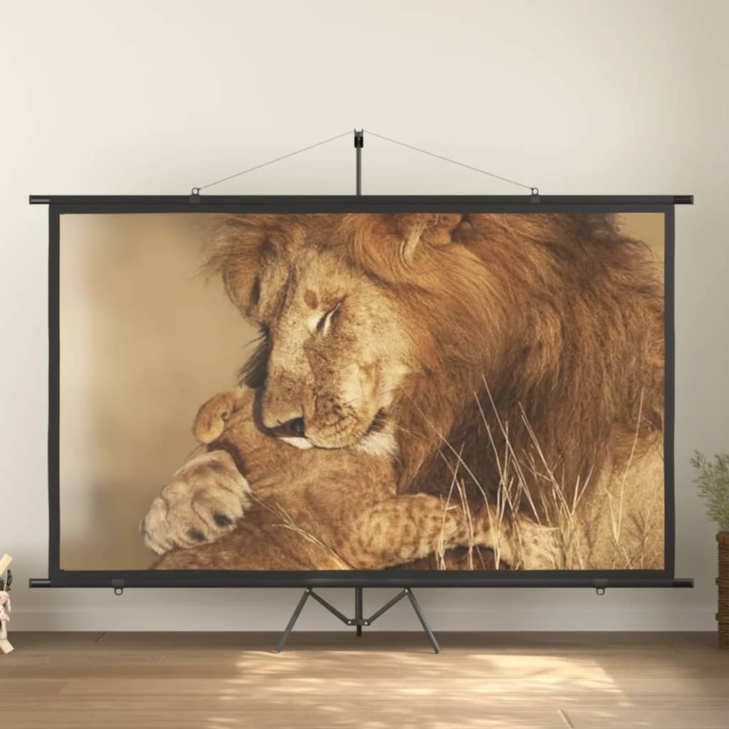 Schermo di Proiezione con Treppiedi 120" 16:9 51415