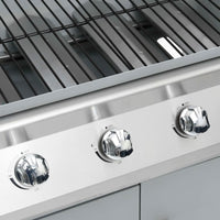 Barbecue e Griglia a Gas 4+1 Fornelli Argento in Acciaio Inox 310109