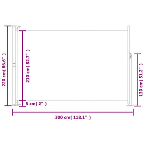 Tenda Laterale Retrattile per Patio 220x300 cm Nera 313423