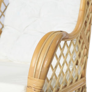 Poltrona con Cuscino in Rattan Naturale e Lino 325469