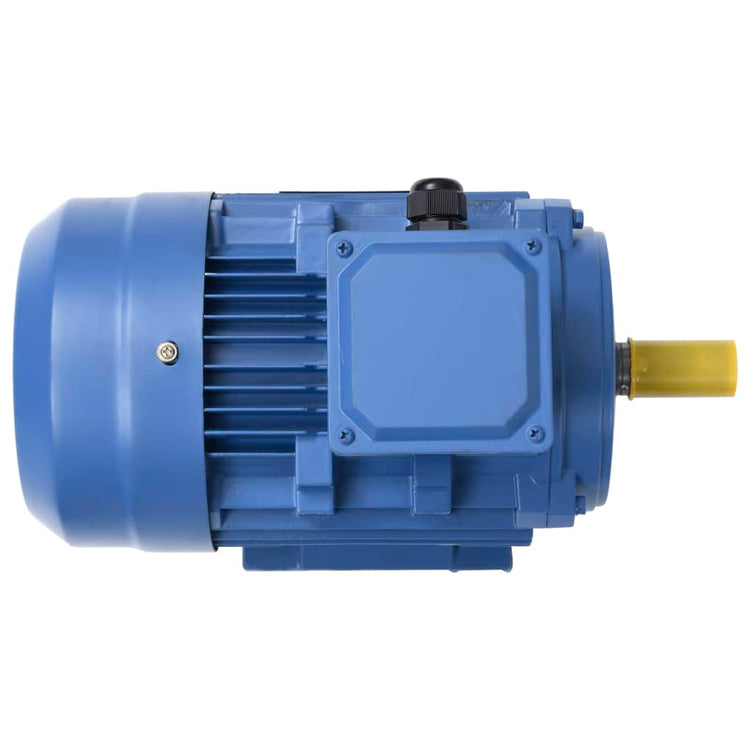 Motore Elettrico Trifase in Alluminio 4kW/5,5HP 2 Poli 2840 RPM 148006