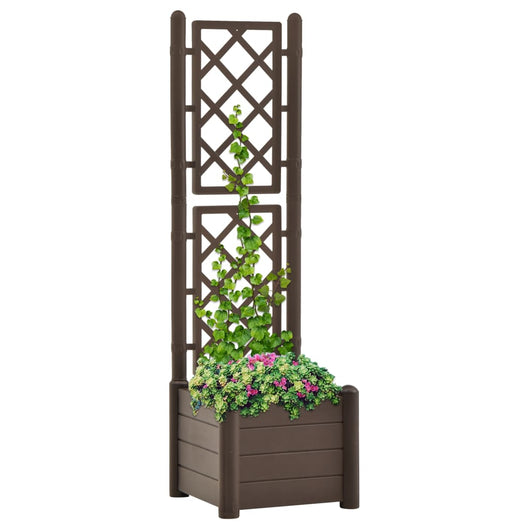 Fioriera da Giardino con Graticcio 43x43x142 cm PP Mocca  cod mxl 67316