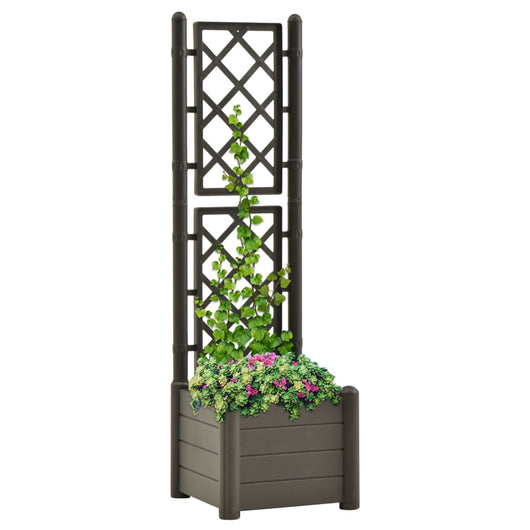 Fioriera da Giardino con Graticcio 43x43x142 cm PP Antracite  cod mxl 67414