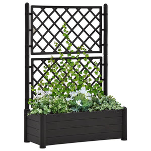 Fioriera da Giardino con Graticcio 100x43x142 cm PP Antracite 313985