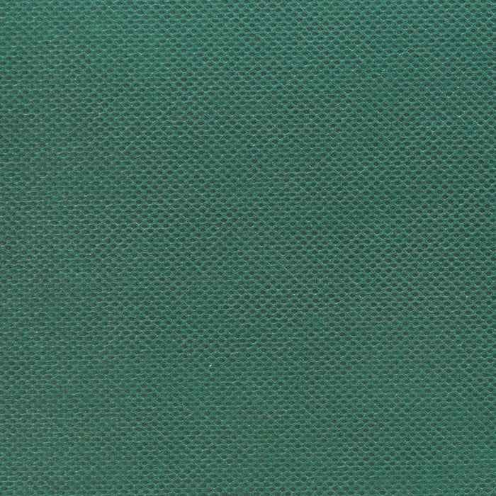 Nastri Adesivi per Erba Artificiale 2 pz 0,15x10 m Verde cod mxl 66602