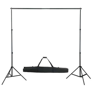 Kit per Studio Fotografico con Set Luci, Fondale e Riflettore 3067052