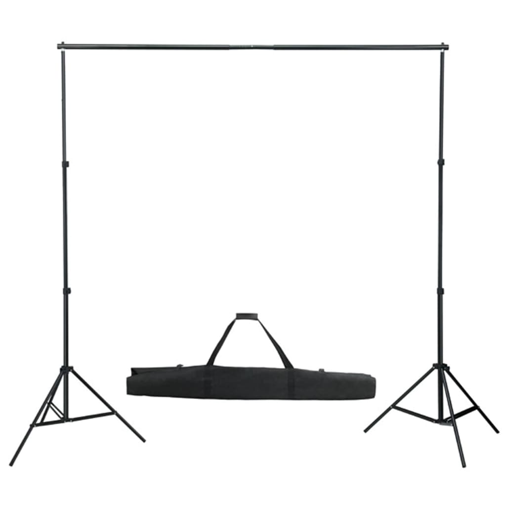 Kit per Studio Fotografico con Set Luci, Fondale e Riflettore 3067053