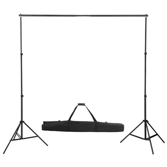 Kit per Studio Fotografico con Set Luci, Fondale e Riflettore 3067055