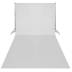 Kit per Studio Fotografico con Set Luci, Fondale e Riflettore 3067059