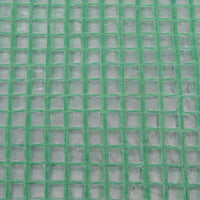 Telo di Ricambio per Serra (0,5 m²) 50x100x190 cm Verde 316452