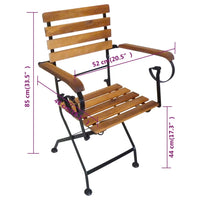 Sedie da Giardino Pieghevoli 4 pz in Acciaio e Legno Acacia 316834