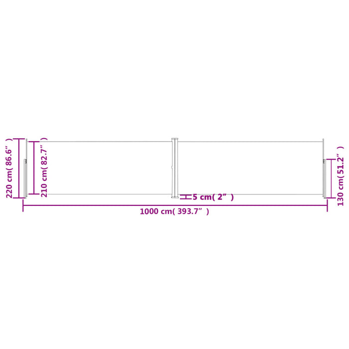 Tenda da Sole Laterale Retrattile Antracite 220x1000 cm 318050