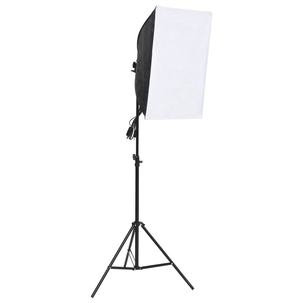 Kit di Illuminazione da Studio con Fondali e Softbox 190237