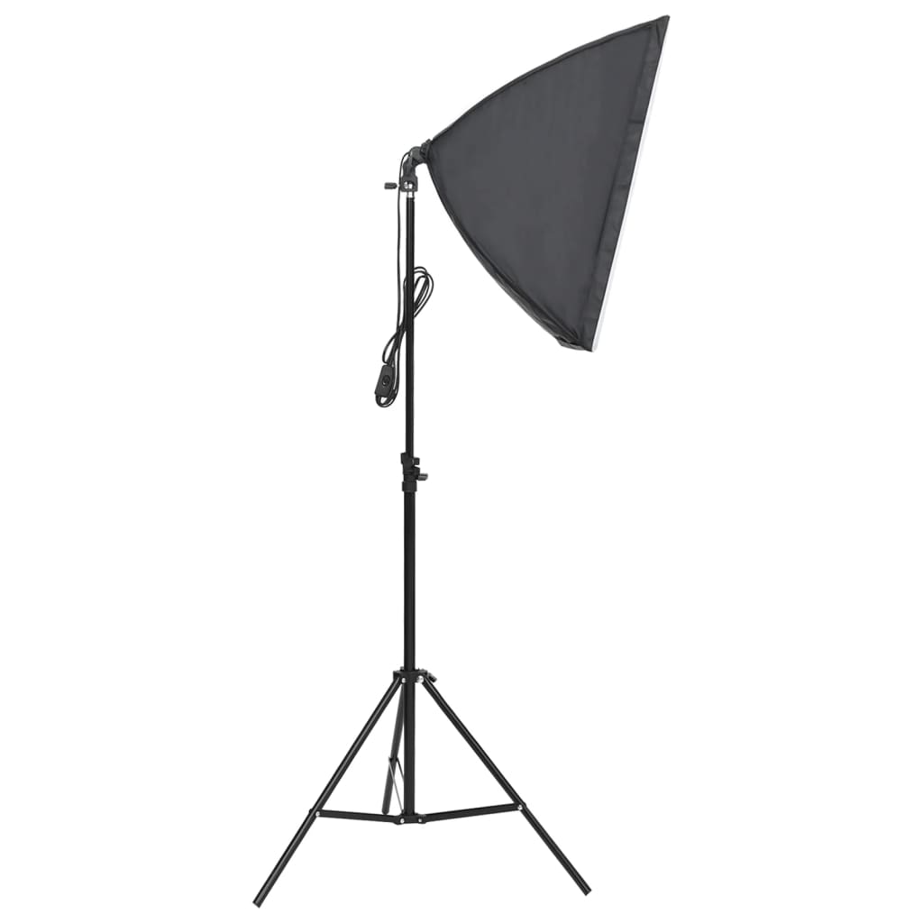 Kit di Illuminazione da Studio con Fondali e Softbox 190237