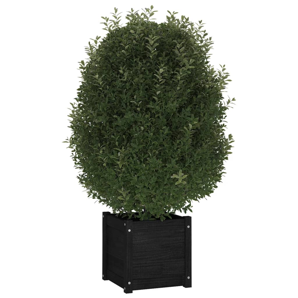 Fioriera da Giardino Nera 40x40x40 cm in Legno Massello di Pino cod mxl 67359