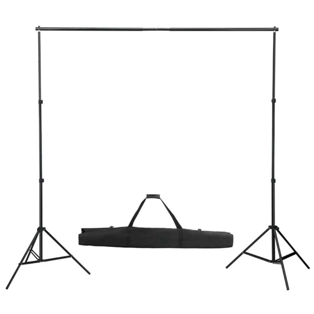 Kit per Studio Fotografico con Set di Luci e Fondale 3094639