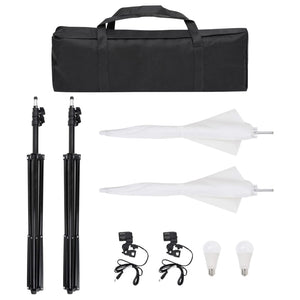 Kit per Studio Fotografico con Set di Luci e Fondale 3094639