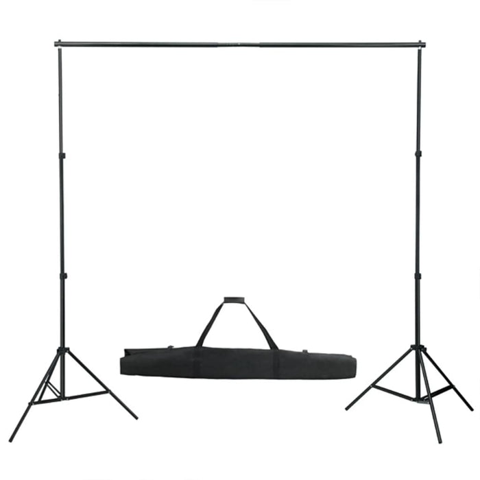 Kit per Studio Fotografico con Set Luci, Fondale e Riflettore 3094694