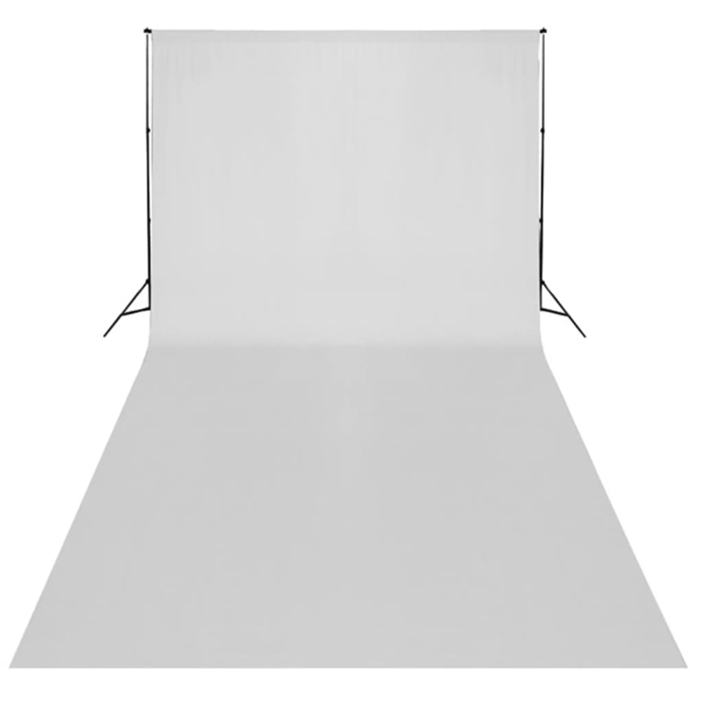 Kit per Studio Fotografico con Set Luci, Fondale e Riflettore 3094726