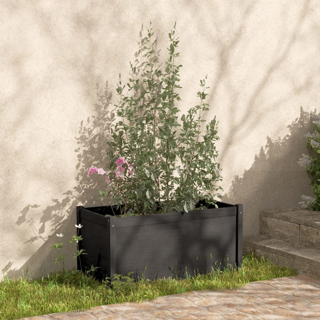 Fioriere da Giardino 2 pz Grigie 100x50x50 cm Massello di Pino 810729