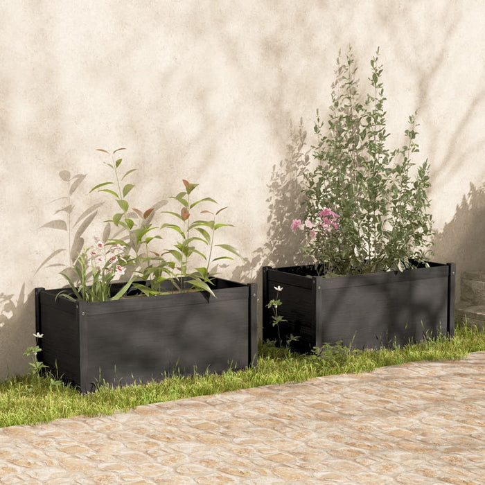 Fioriere da Giardino 2 pz Grigie 100x50x50 cm Massello di Pino 810729