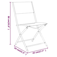 Sedie Pieghevoli per Esterni 2 pz in Acciaio e Textilene 318766
