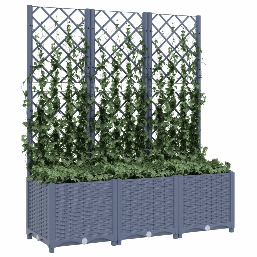 Fioriera da Giardino con Graticcio Grigio Scuro 120x40x136cm PP 318253