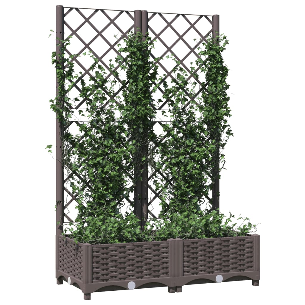 Fioriera da Giardino con Graticcio Marrone 80x40x121,5 cm in PP cod mxl 67002