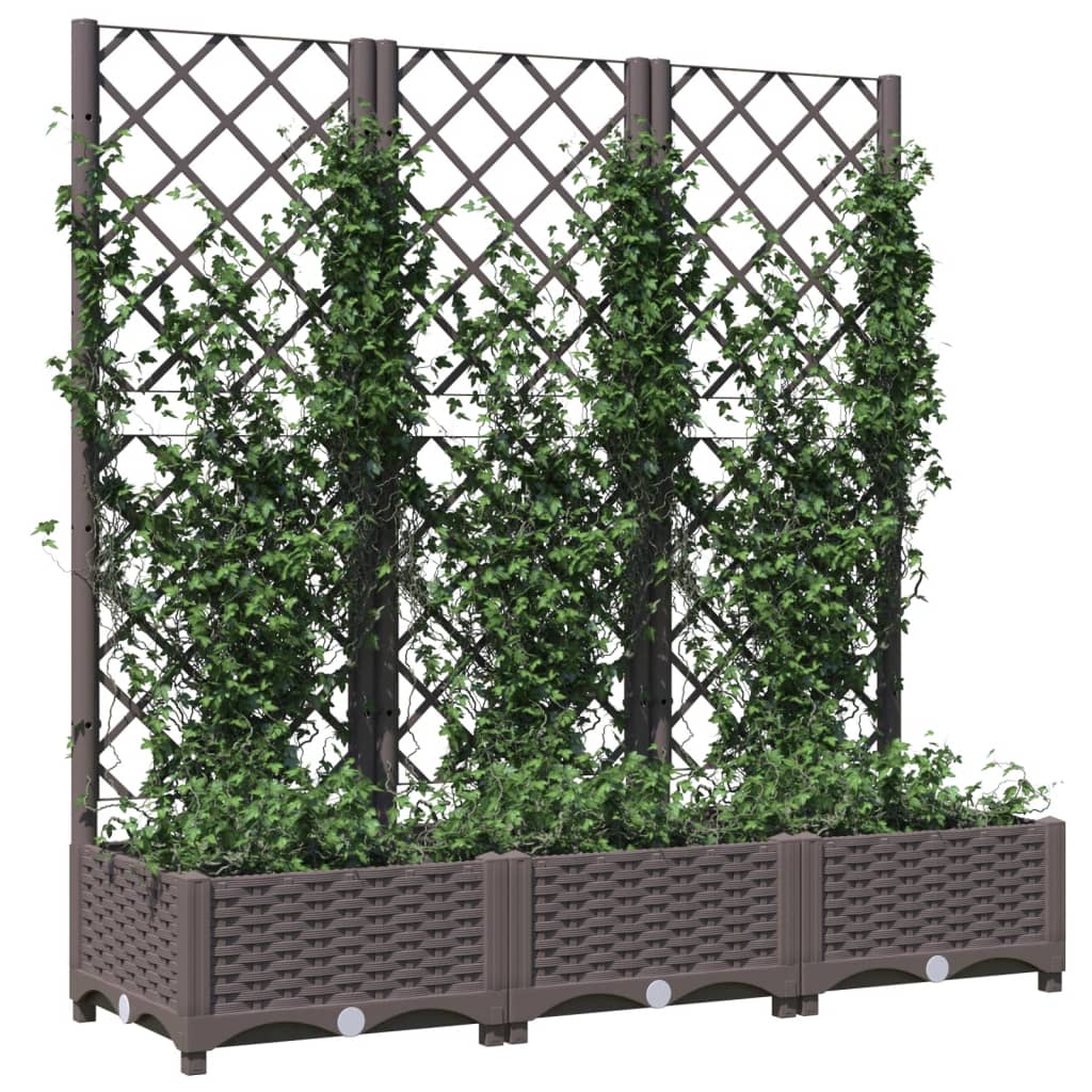 Fioriera da Giardino con Graticcio Marrone 120x40x121,5cm in PP 318262