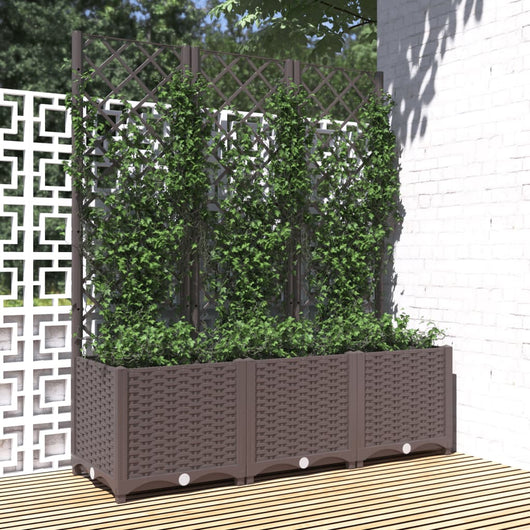 Fioriera da Giardino con Graticcio Marrone 120x40x136 cm in PP cod mxl 67374