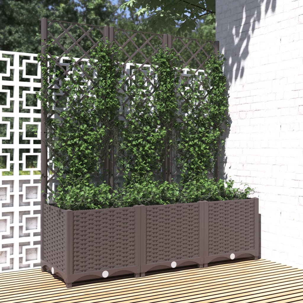 Fioriera da Giardino con Graticcio Marrone 120x40x136 cm in PP 318263