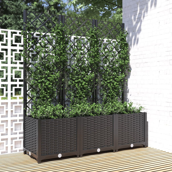 Fioriera da Giardino con Graticcio Nero 120x40x136 cm in PPcod mxl 79173