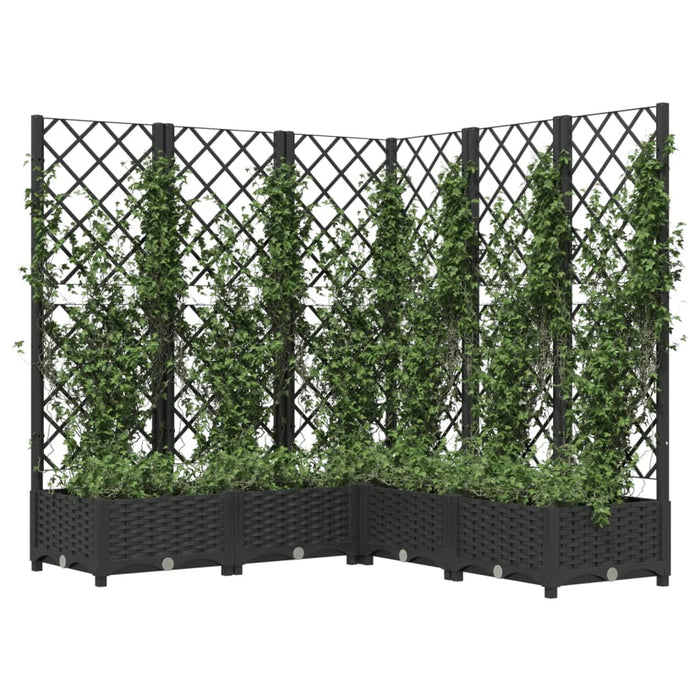 Fioriera da Giardino con Graticcio Nero 120x120x121,5 cm in PP cod mxl 67357